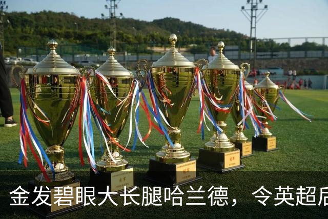 金发碧眼大长腿哈兰德，令英超后卫闻风丧胆，一己之力带飞挪威！
